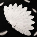 Dragonfly Wing Folding Fan Home Daily Use Holiday Gift Feather Fan (White/Black & White/Blue & White/Black & Green)