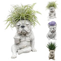 Funny French Bulldog Planter – Middle Finger Resin Succulent Pot, Cheeky Dog Statue for Desk & Garden, Unique Gift for Dog & Plant Lovers