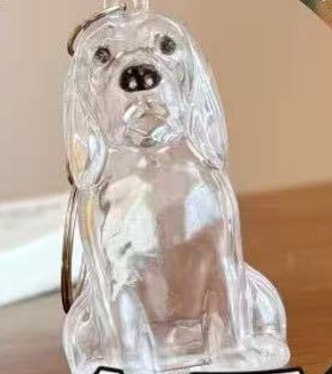 Colector de pelo de perro llavero encanto caja de almacenamiento conmemorativo,Llavero de pelo de mascota,Colgante de cápsula de recuerdo de piel de mascota