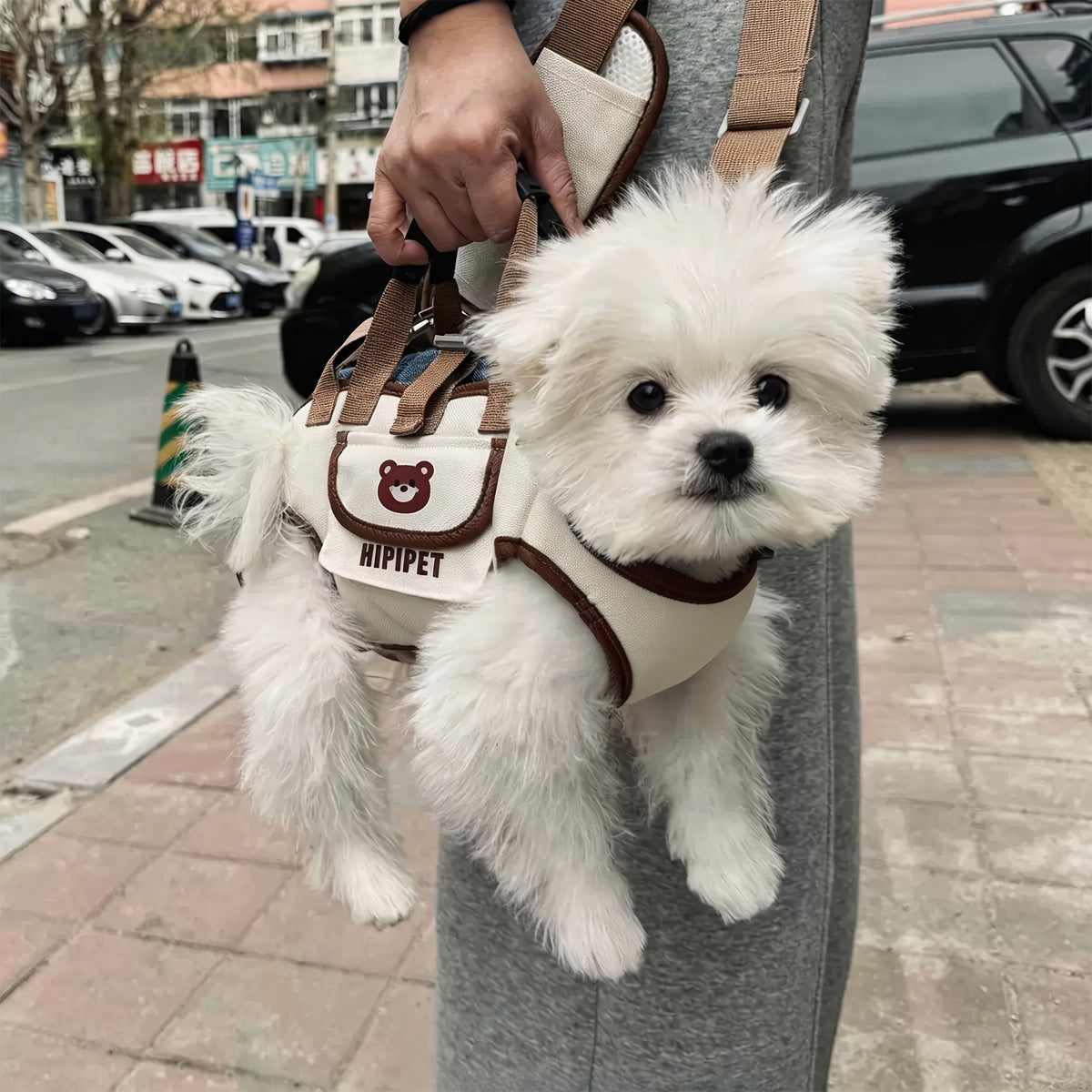 Full-Body Dog Lift Harness – Support Carrier with Backpack & Single-Shoulder Options for Stairs, Walking and Everyday Mobility
